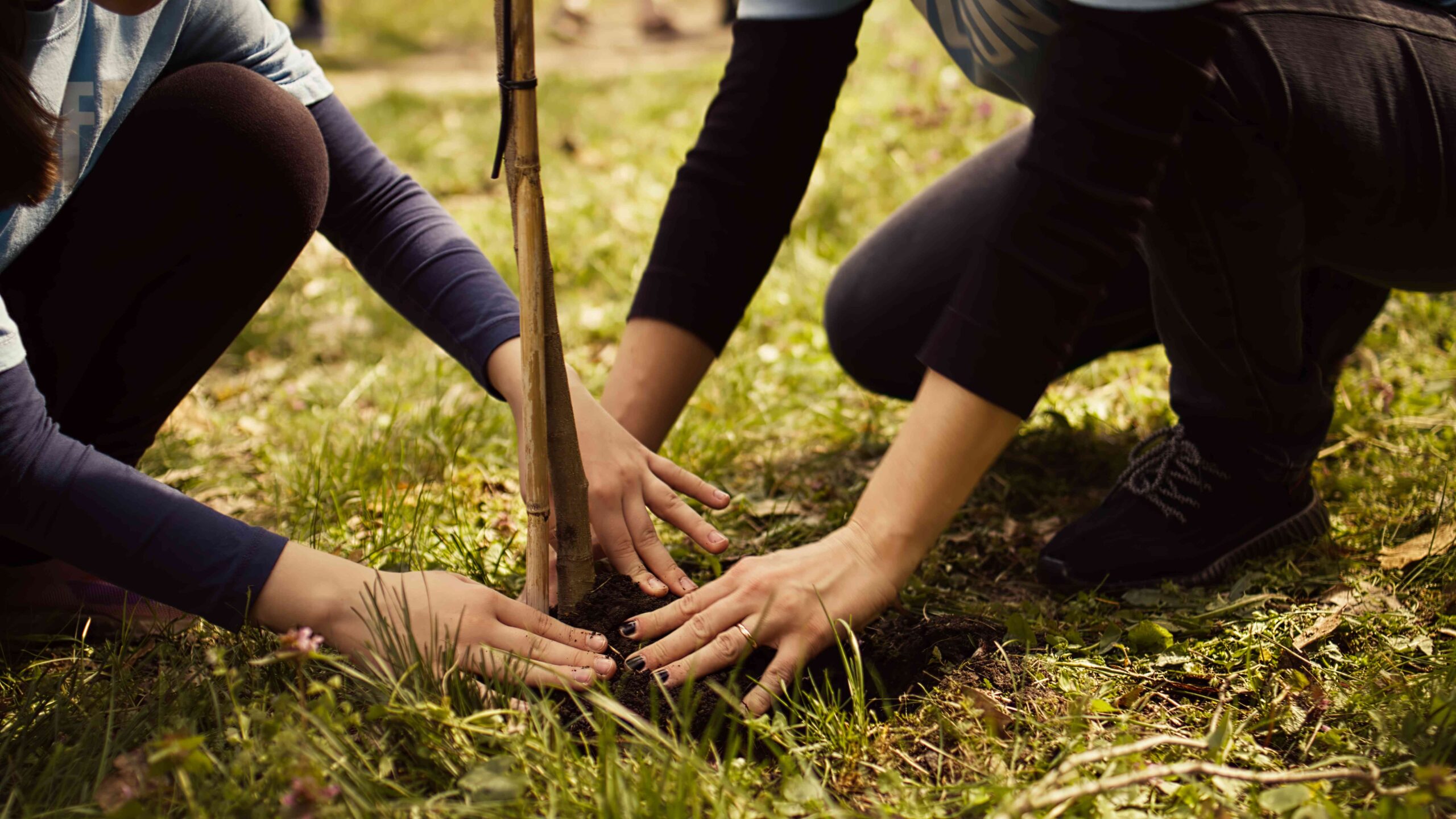 Zelená výzva teambuilding Šikland