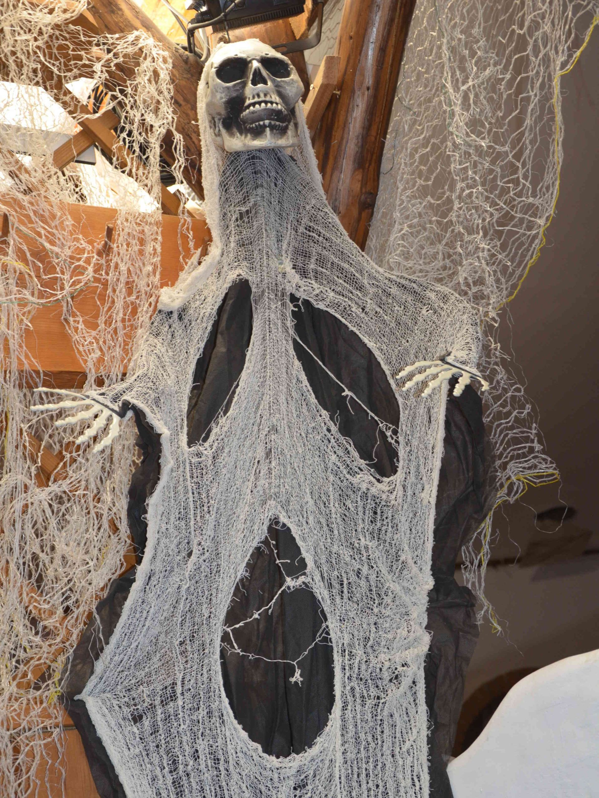dsc_0592_optimized1